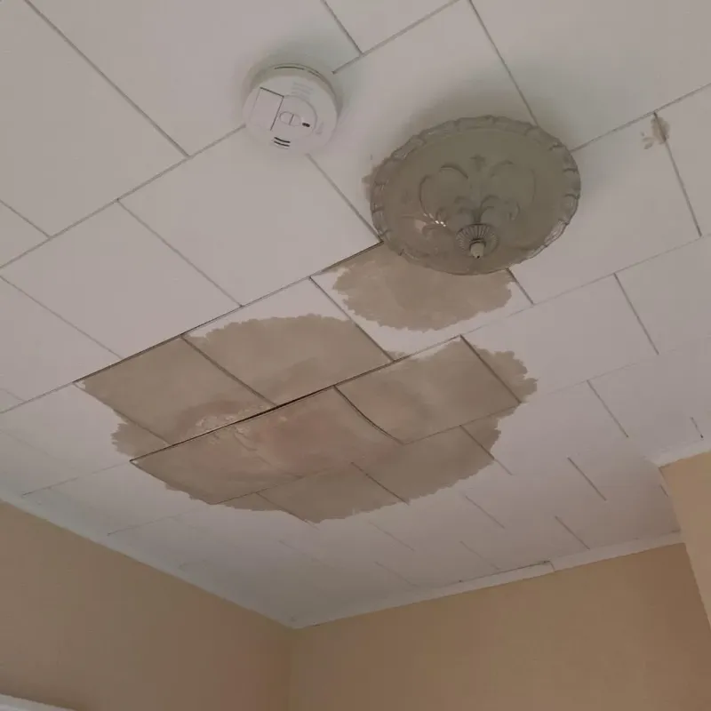 Ceiling Water Damage Repair in Sac City, IA