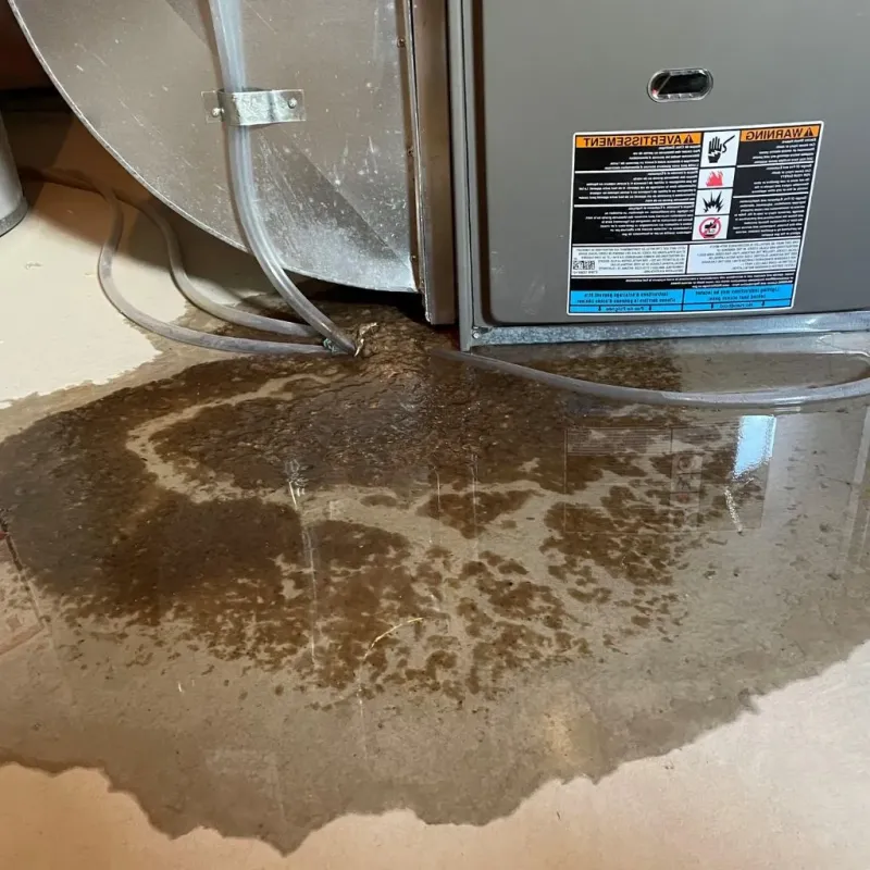 Pipe Burst and Leak Restoration in Sac City, IA