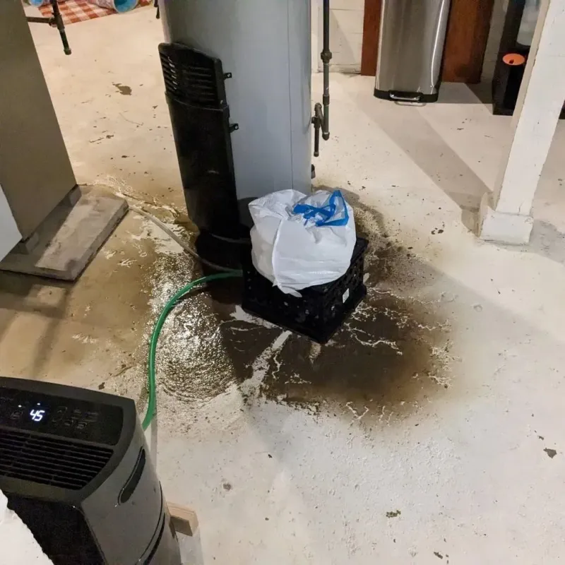 Sewage Backup Cleanup Service in Sac City, IA